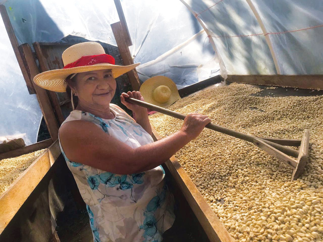 Meet Our Farmers - Finca El Trapiche